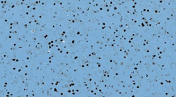 Линолеум Mipolam Elegance El5 0354 Blue фото 1 | FLOORDEALER